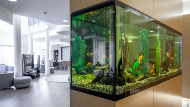 Como decorar aquário